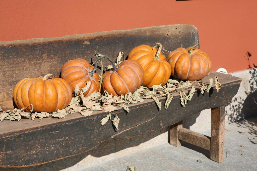 Agriturismo La Virginia Villa Revello ภายนอก รูปภาพ